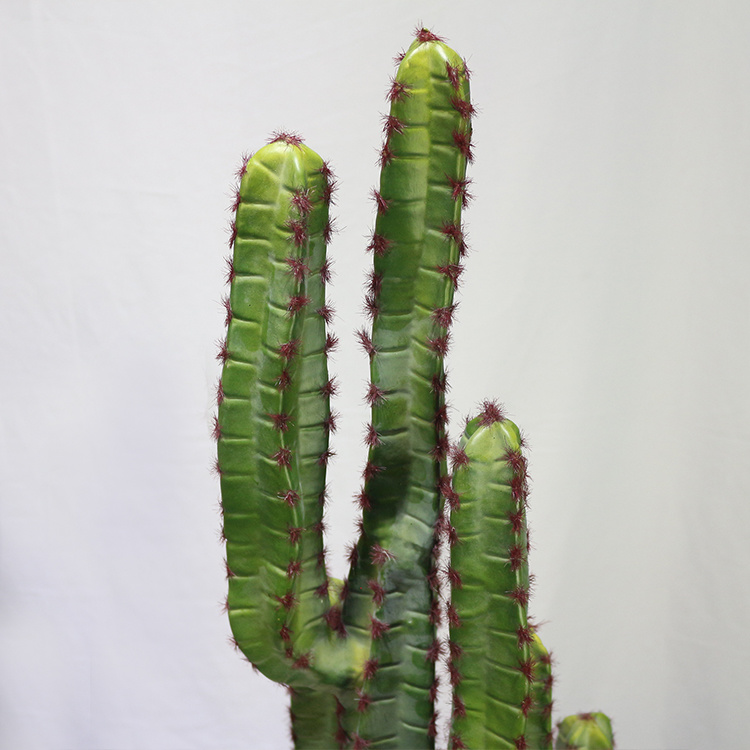 Cactus Saguaro de plástico de nuevo estilo - Compre planta de cactus artificial en Toronto Cactus and Succulent Club (5).jpg 